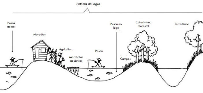 C:\Users\Neriane\Dropbox\NERIANE\UFOPA1\Tese\Imagens\EcologiaHumanaVarzea.jpg