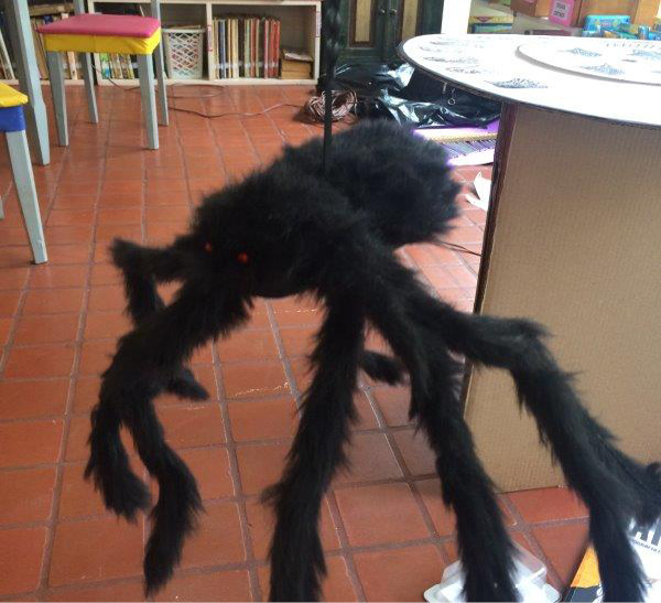 C:\Users\Usuario\Pictures\foto detalhe aranha.jpg