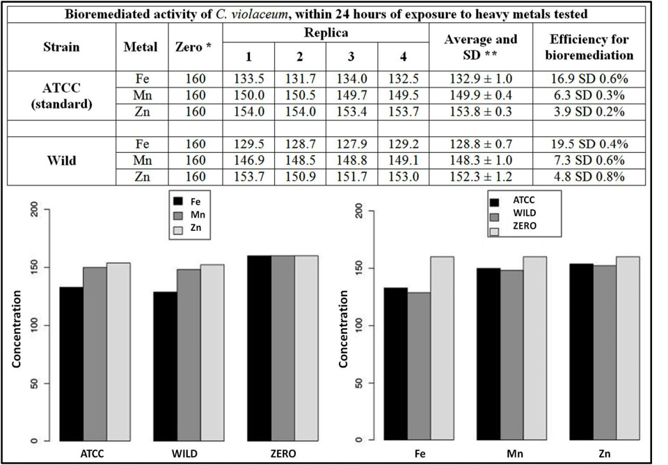 C:\Users\Feliphe\Desktop\FIG 1 CAP 3.tif