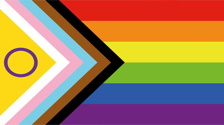 LGBTQIA+ pride flag. Source: https://www.mdsaude.com/psiquiatria/identidade-genero-lgbtqia/